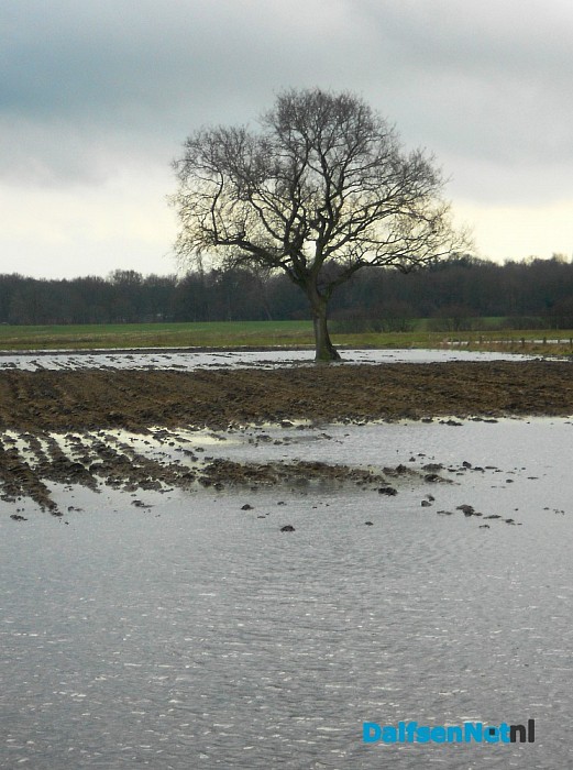 Water in de  Vecht sinds gisteren behoorlijk hoger