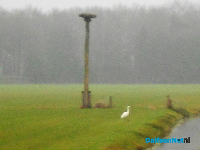 Anne heeft huis gevonden