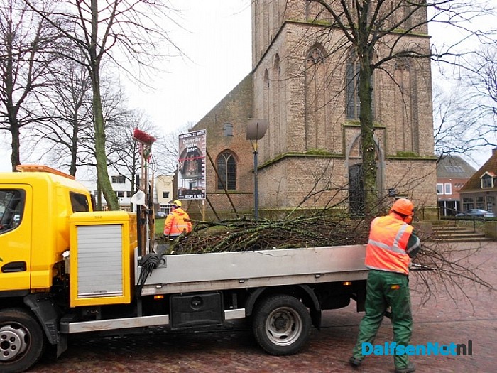 Bomen snoeien Kerkplein