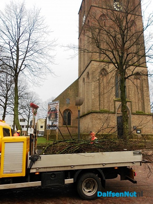 Bomen snoeien Kerkplein