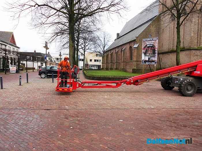 Bomen snoeien Kerkplein