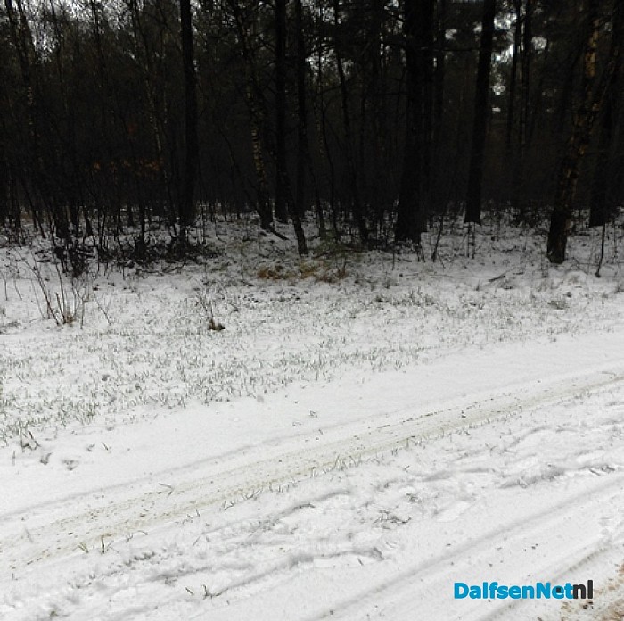Nog volop winter in Het Sterrebos