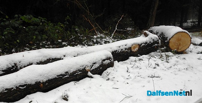 Nog volop winter in Het Sterrebos