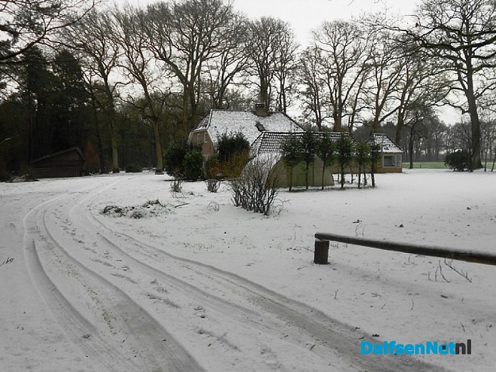 Nog volop winter in Het Sterrebos