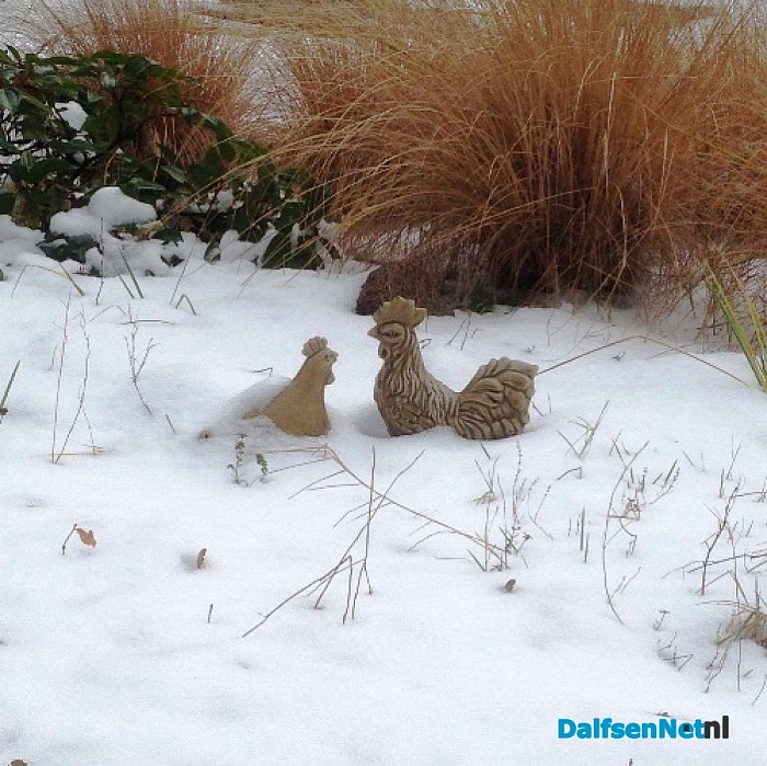 Vervolg prachtige sneeuwplaatjes