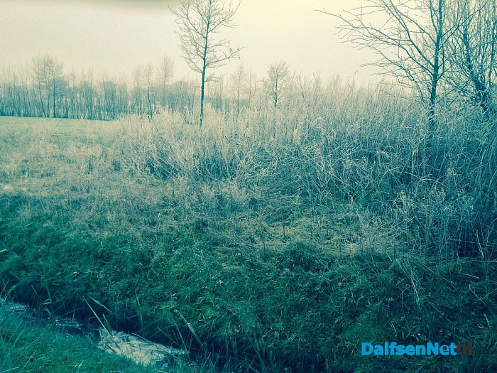 Bijna schaatsen in Dalfsen?