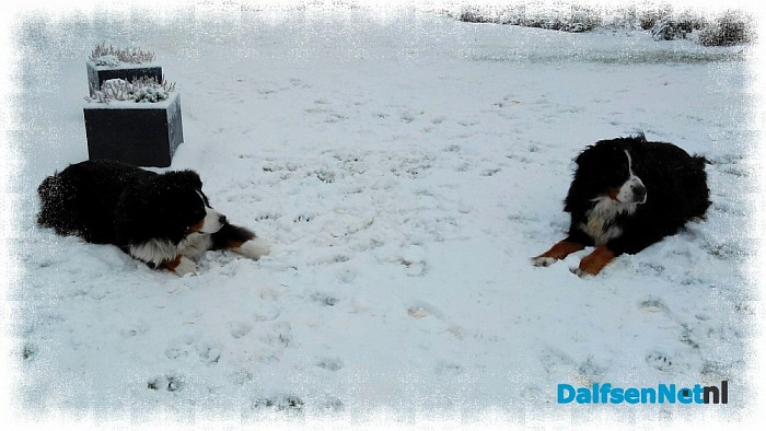 Ingezonden sneeuwfoto’s (update met heel veel mooie foto’s!)