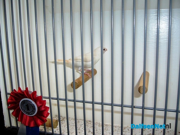 Lid vogelvriend Dalfsen: werelkampioen