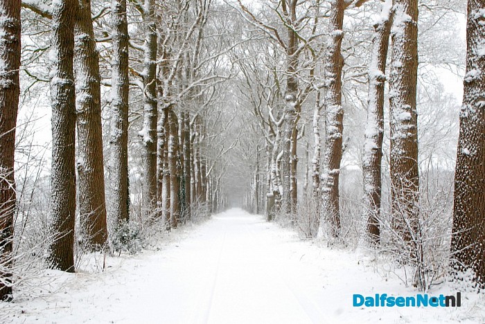 Ingezonden sneeuwfoto’s (update met heel veel mooie foto’s!)