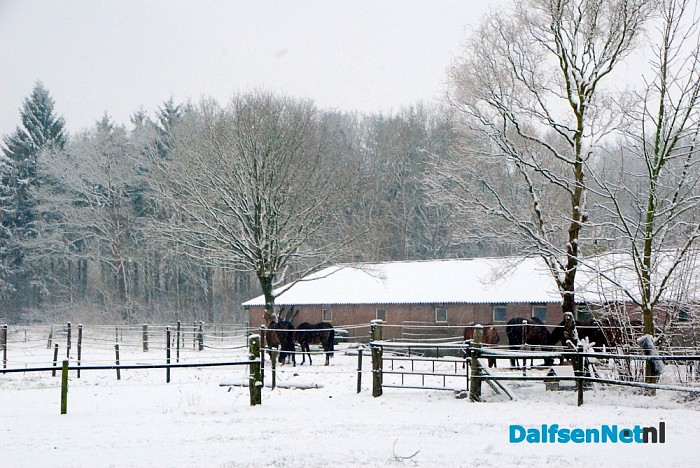 Ingezonden sneeuwfoto’s (update met heel veel mooie foto’s!)