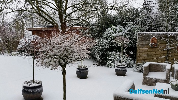 Ingezonden sneeuwfoto’s (update met heel veel mooie foto’s!)