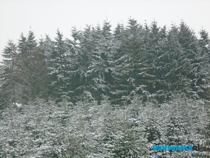 Ingezonden sneeuwfoto’s (update met heel veel mooie foto’s!)