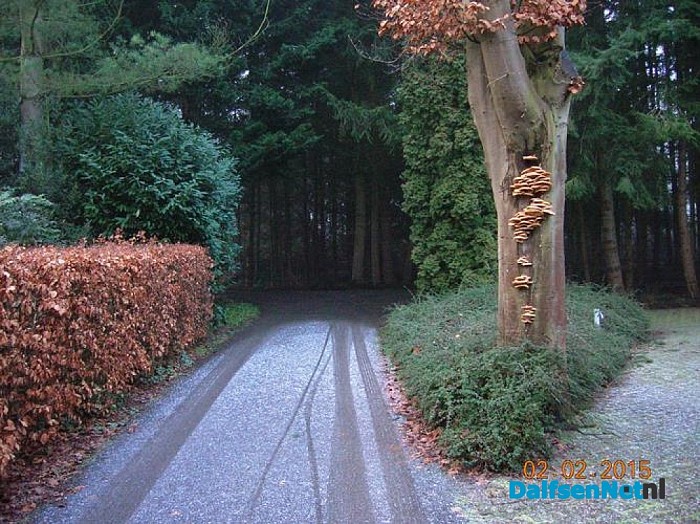 De Natuur