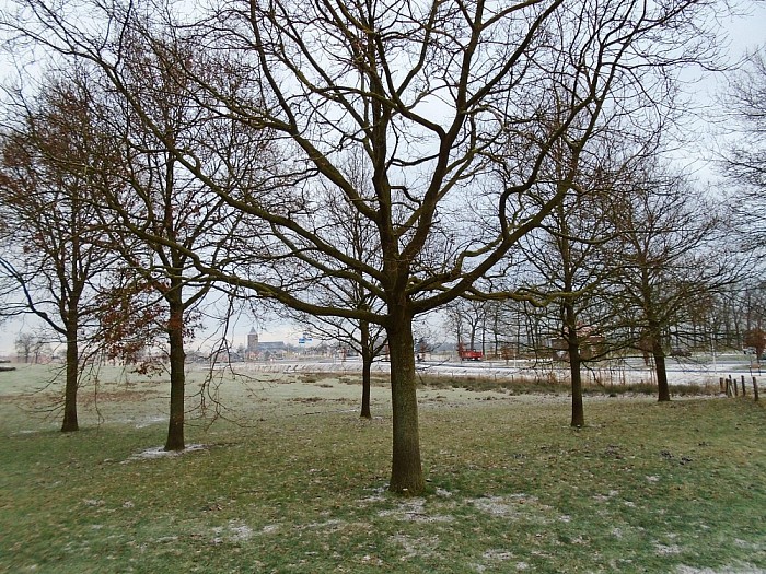 Afscheid van Dalfsen - Foto: Lenze L