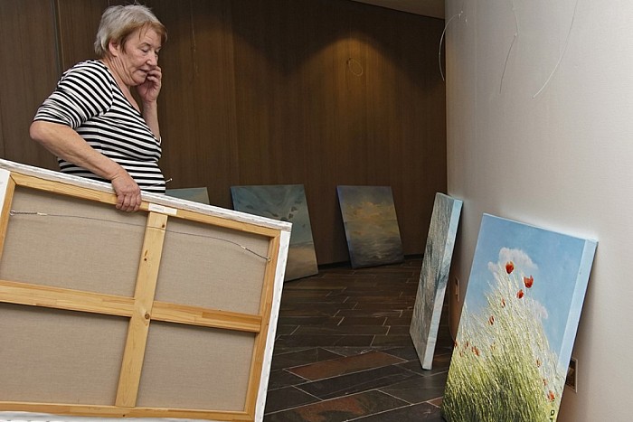 Nieuwe expo in foyer gemeentehuis - Foto: Paul Scholten