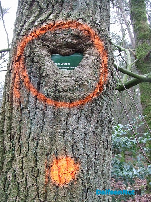 Het einde van een boom en boombordje in zicht
