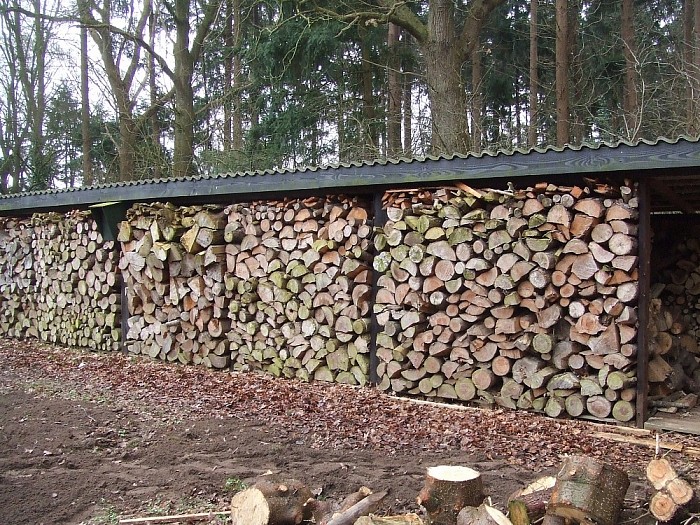 ’t Asje bouwt trouwlocatie - Foto: Wim
