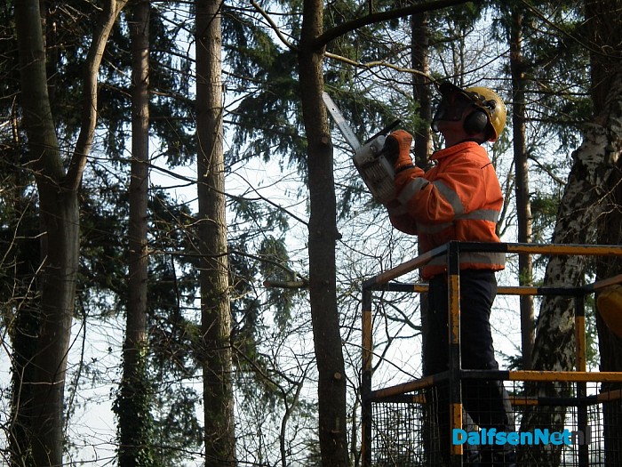 Snoeiwerk Heinoseweg gaat zeer voorspoedig - Foto: Robert Bril
