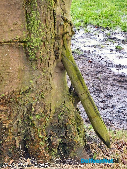Geboorte van een paaltje. - Foto: H.G. Foto