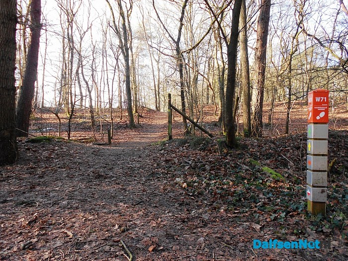 300 jaar Sterrebos: vandaag unieke wandeling!