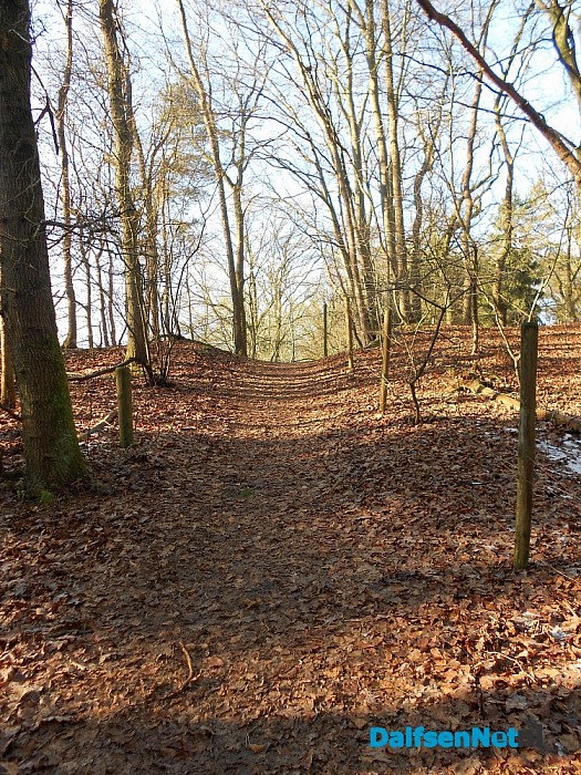 300 jaar Sterrebos: vandaag unieke wandeling!