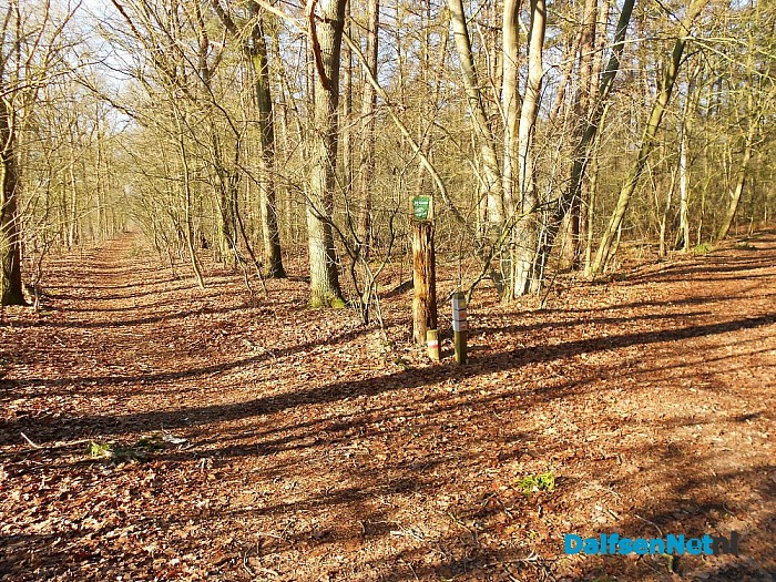 300 jaar Sterrebos: vandaag unieke wandeling!