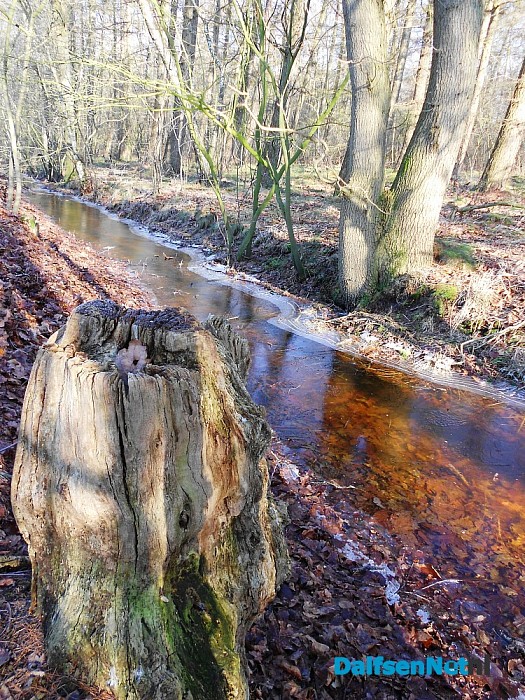 300 jaar Sterrebos: vandaag unieke wandeling!