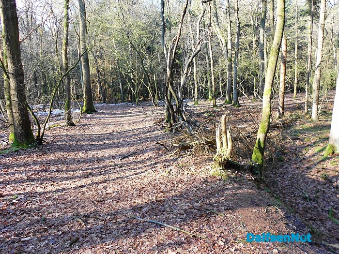 300 jaar Sterrebos: vandaag unieke wandeling!