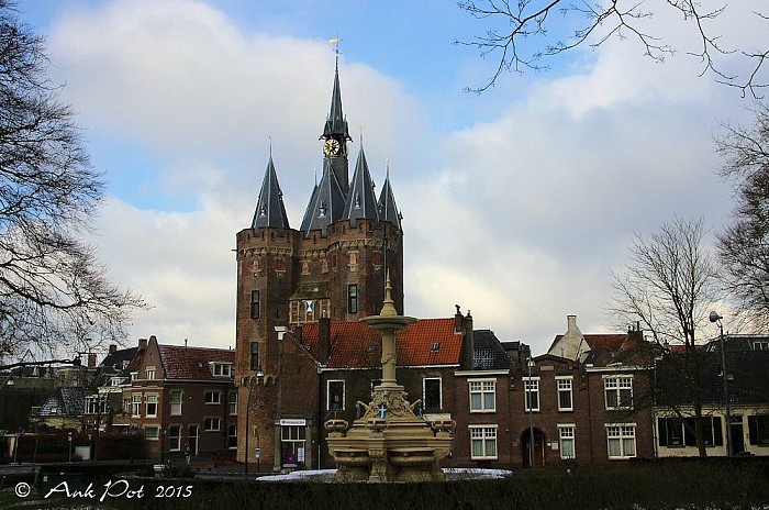 Foto van de maand februari - Foto: Ank Pot