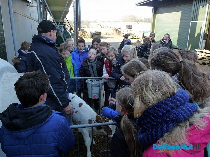 Groep 7/8 C.b.s De Spiegel gaat de boer op!