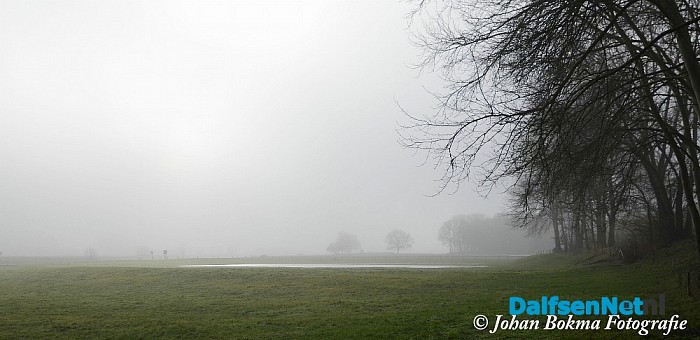 Mooie natuurfoto’s in de mist - Foto: Johan Bokma