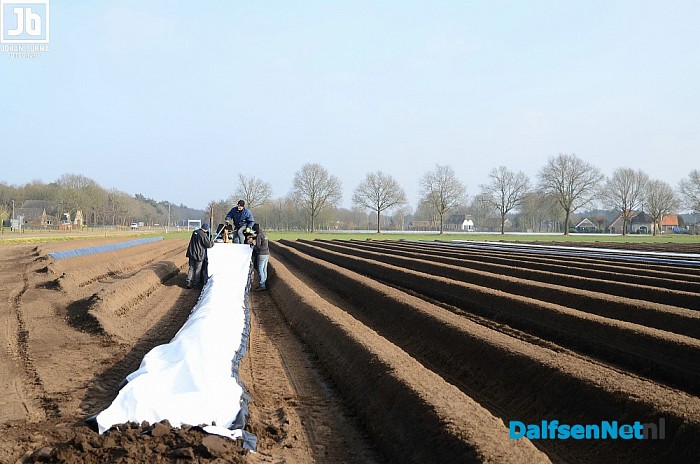 Het witte goud van Salland is in de maak - Foto: Johan Bokma