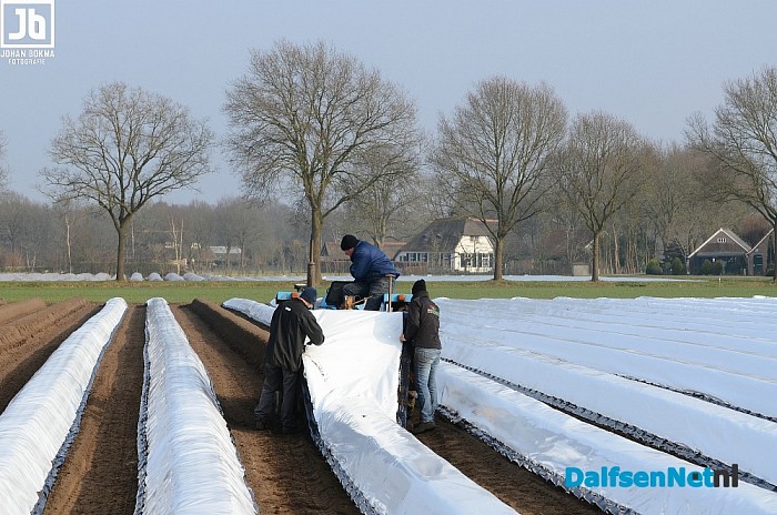 Het witte goud van Salland is in de maak - Foto: Johan Bokma