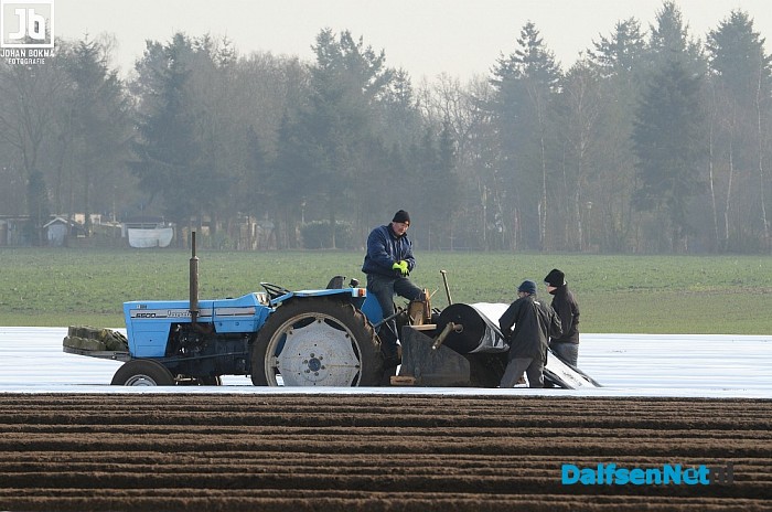 Het witte goud van Salland is in de maak - Foto: Johan Bokma