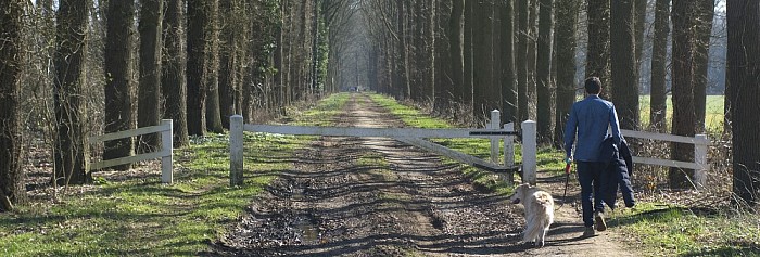 Zo maar wat foto’s van een zonnige zondagmiddag, deel 1 - Foto: Geert Bistervels