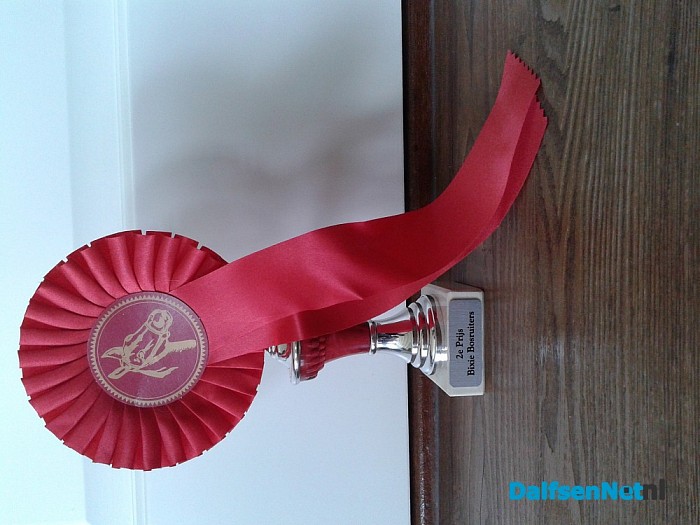 Ponyclub Dalfsen
