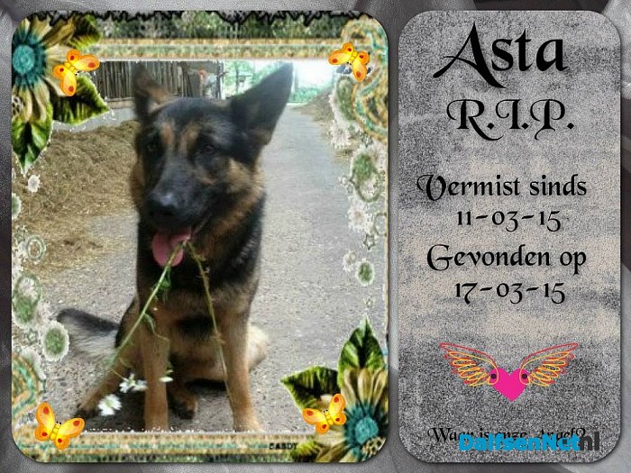 Asta is gevonden