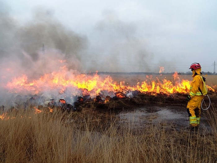 Branden als beheermaatregel voor heideterrein - Foto: Eigen geleverde foto