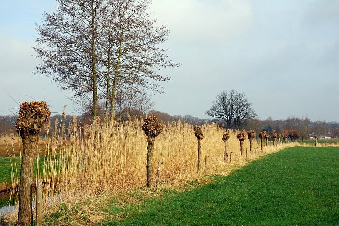 Foto’s rond huize Kijk in de Vechte - Foto: Eigen geleverde foto