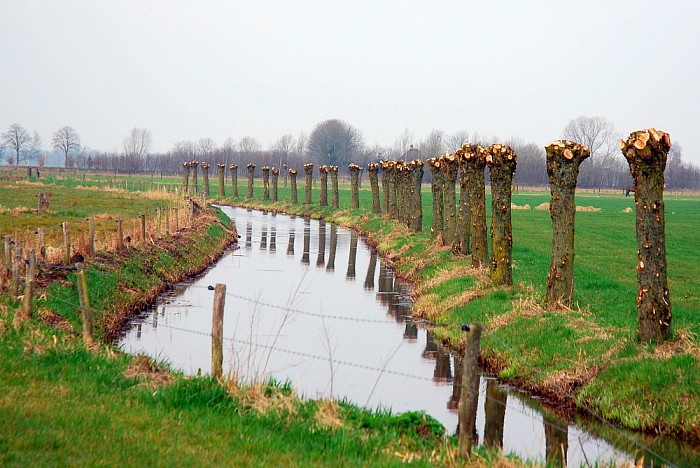 Foto’s rond huize Kijk in de Vechte - Foto: Eigen geleverde foto