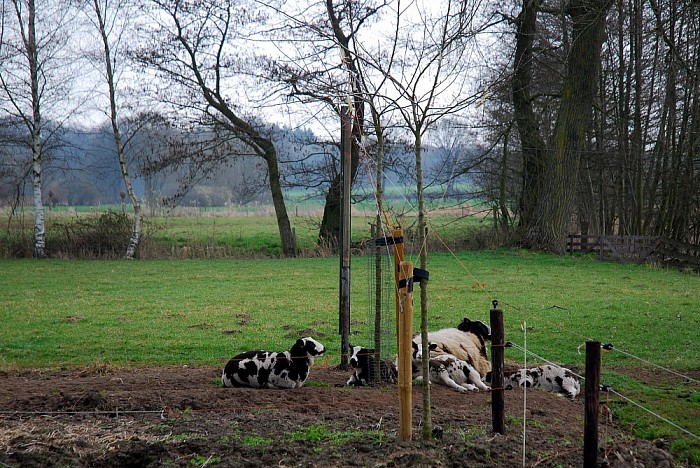 Foto’s rond huize Kijk in de Vechte - Foto: Eigen geleverde foto