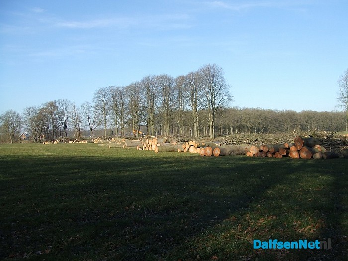Natuurbeheer is soms ook rigoureus