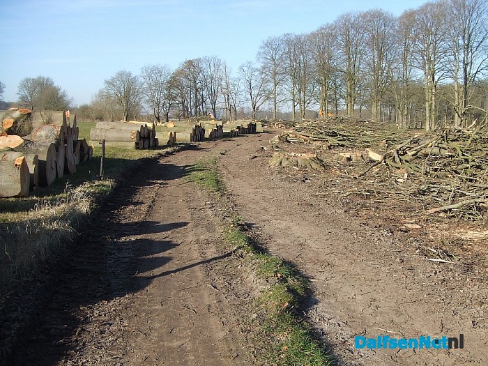 Natuurbeheer is soms ook rigoureus