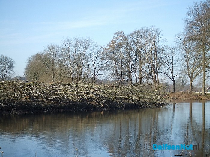 Natuurbeheer is soms ook rigoureus