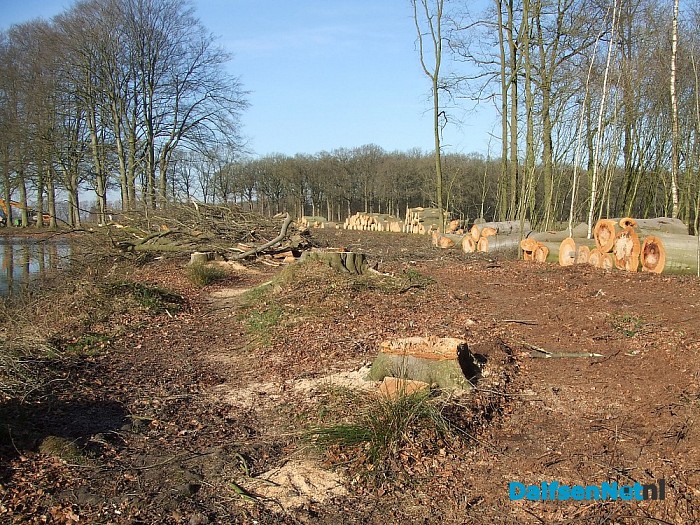 Natuurbeheer is soms ook rigoureus