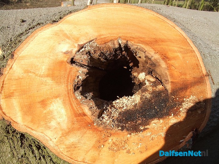 Natuurbeheer is soms ook rigoureus
