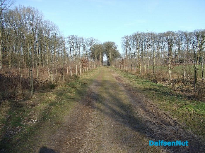 Natuurbeheer is soms ook rigoureus