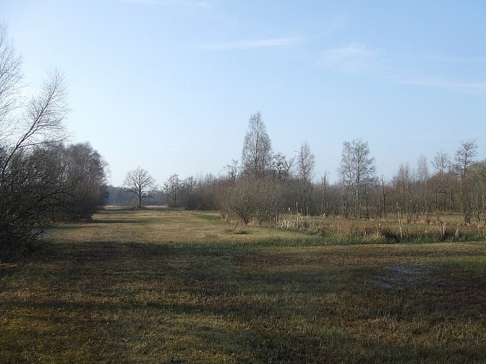Een drassig natuurgebied bij Lemelerveld - Foto: Wim