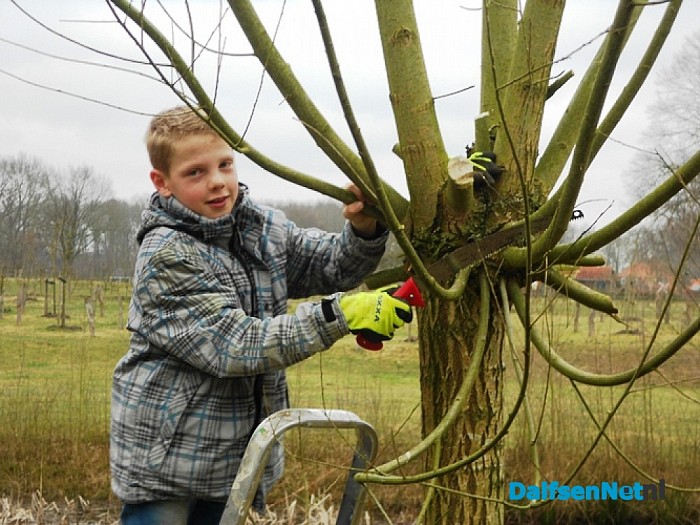 Overwerken voor school