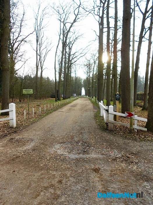 Het wordt er wel mooi licht van